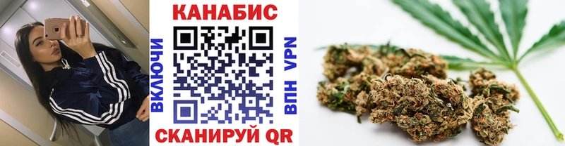 наркота блэк спрут сайт Шишки марихуана THC 21% Андреаполь